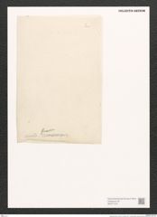 Diatomeae indet. (de-Toni-Nr.: Species 1261 ?) Zeichnungen Sammlung Grunow (NHMW-BOT-W0371479)